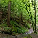 Apartman Stunning Woerthersee Sekull