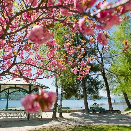 Stunning Woerthersee Apartament